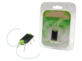 Konik polny solarny