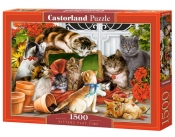Puzzle 1500 Kittens Play Time (C-151639)