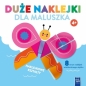 Duże naklejki dla maluszka 4+ Motylek - Opracowanie zbiorowe