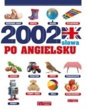 2002 słowa po angielsku. Ilustrowany słownik - Laura Aceti