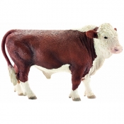 Hereford byk (13763)