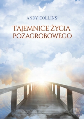 Tajemnice życia pozagrobowego - Andy Collins