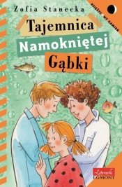 Tajemnica namokniętej gąbki - Zofia Stanecka