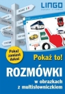 Rozmówki w obrazkach z multisłowniczkiem Pokaż to!