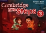 Cambridge Little. Steps Level 3. Activity Book Zapiain Gabriela