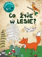 Co żyje w lesie. Kolorowanka - Wojciech Gil