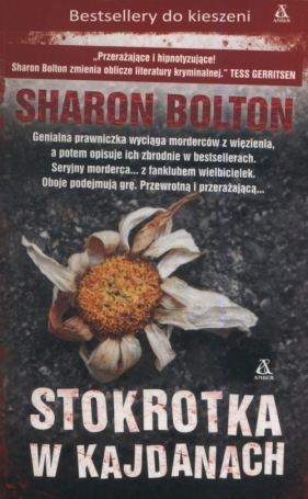 Stokrotka w kajdanach - Sharon Bolton