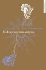  Elektryczny romantyzmNauka o elektryczności a literatura i filozofia