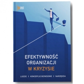 Efektywność organizacji w kryzysie - Wojciech Rokicki, Radosław Śliwka