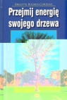 Przejmij energię swojego drzewa Cordeau  Brigitte Bulard