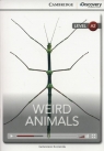 Weird animals level A2