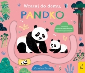 Wracaj do domu, pandko - Opracowanie zbiorowe
