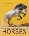 Horses Boiselle Gabriele