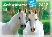 Kalendarz 2022 Rodzinny Konie w plenerze WL10