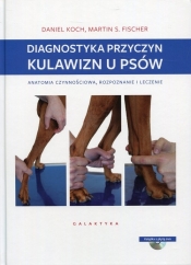 Diagnostyka przyczyn kulawizn u psów