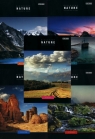 Zeszyt A5 Top-2000 gładki 96 kartek Discovery Nature 5 sztuk mix