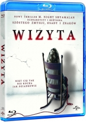 Wizyta