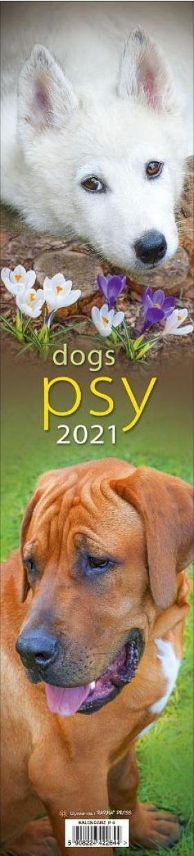 Kalendarz 2021 Paskowy - Psy PP - Opracowanie zbiorowe