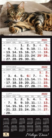 Kalendarz 2022 trójdzielny Premium Kot