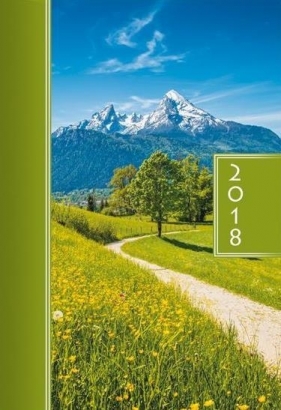 Terminarz 2018 A5 kolor - droga