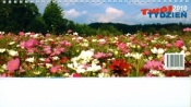 Kalendarz 2010 Biurowy Twój tydzień