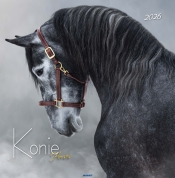 Kalendarzy ścienny duży - Konie