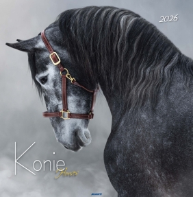 Kalendarzy ścienny duży - Konie