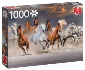 Puzzle 1000: Pustynne konie (18864)