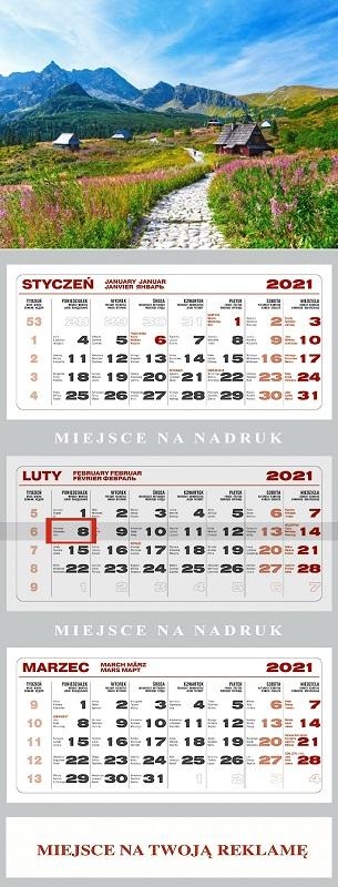 Kalendarz 2021 Ścienny Trójdzielny Hala Gąsienic.