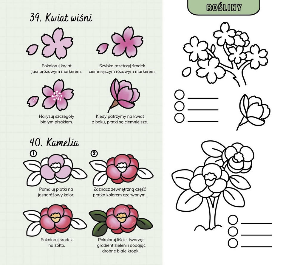 <img src='https://webimage.pl/pics/645/0/d9788384350645.png'>