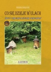 Co się dzieje w ulach. Życie i obyczaje pszczoły.. - Michalina Stefanowska