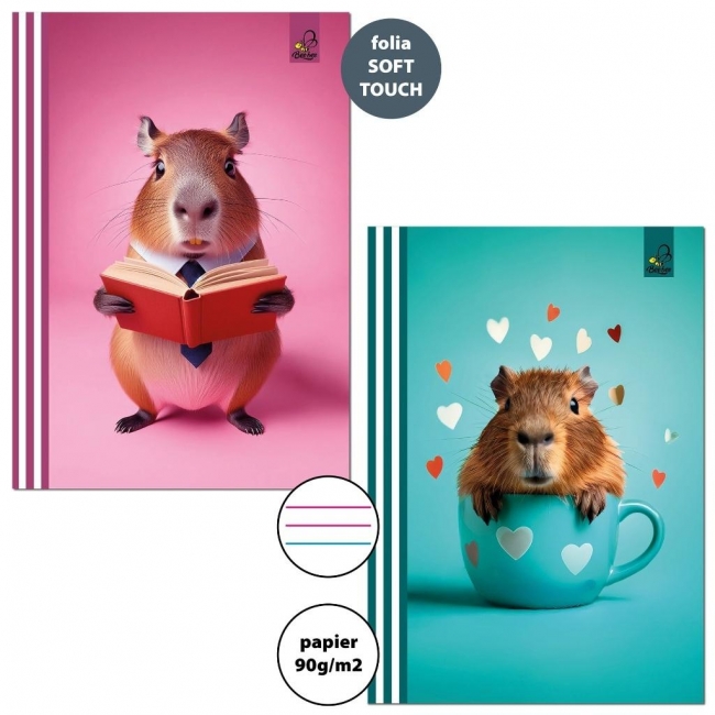 <img src='https://webimage.pl/pics/646/3/d5906893613646.jpg'>