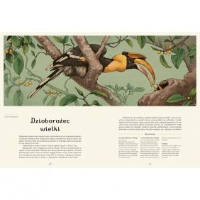 Awiarium. Muzeum Ptaków - Dominic Couzens