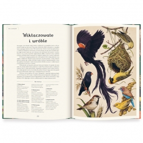 Awiarium. Muzeum Ptaków - Dominic Couzens