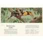 Awiarium. Muzeum Ptaków - Dominic Couzens
