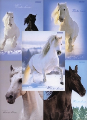 Zeszyt A5 Top-2000 w kratkę 96 kartek Winter Horses mix