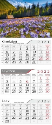 Kalendarz 2022 Trójdzielny Krokusy CRUX