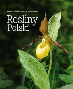 Rośliny Polski - Barbara Sudnik-Wójcikowska, Anna Orczewska