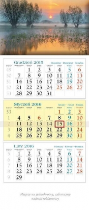 Kalendarz 2016 KT 14 Drzewa trójdzielny - <br />