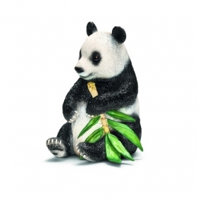 Panda (14664)