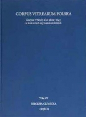 Korpus witraży T.7 Diecezja Gliwicka cz.2 - Joanna Utzig, Tomasz Szybisty