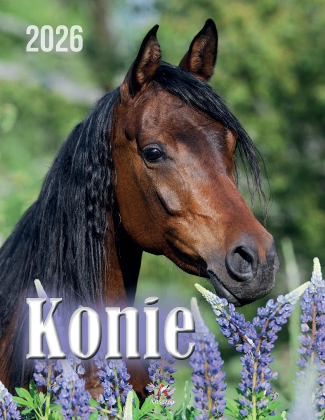 <img src='https://webimage.pl/pics/649/8/d5902188228649.jpg'>