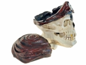 Szkatułka czaszka pirata