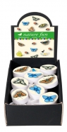 Display, gumki do ścierania Nature Fun 60 sztuk