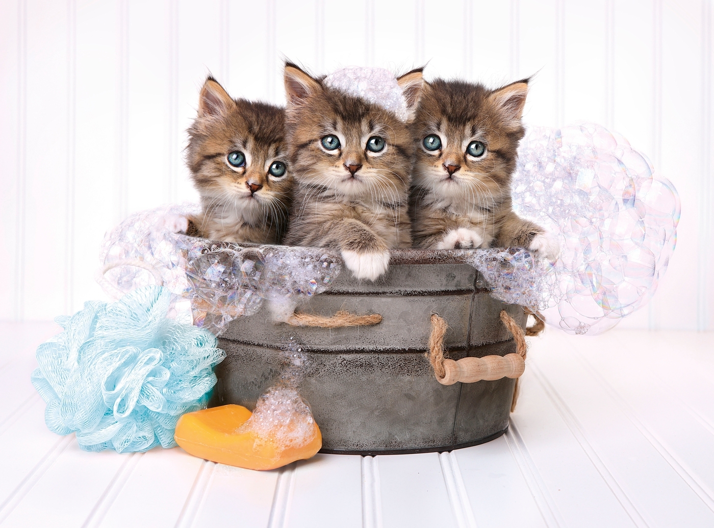 Clementoni, Puzzle High Quality Collection 500: Kittens and Soap (35065)