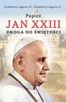 Papież Jan XXIII Droga do świętości Domenico Agasso, Domenico Agasso