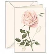 Karnet B6 + koperta 6165 Róża