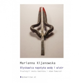 Błyskawica napotyka wodę i wiatr - Marianna Kijowska