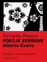Poezje zebrane Alberto Caeiro