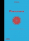 Phenomena wer. angielska The Shelf Company
